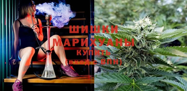 ПСИЛОЦИБИНОВЫЕ ГРИБЫ Верхнеуральск